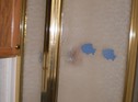 Lot_129_Shower