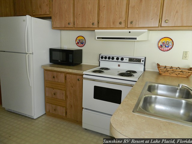 Lot_217_Kitchen view a