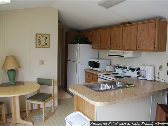 Lot_217_Kitchen view b
