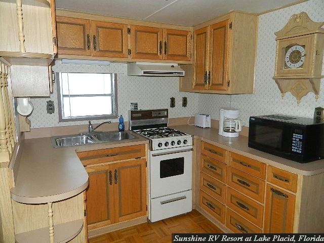 Lot_218_Kitchen view a