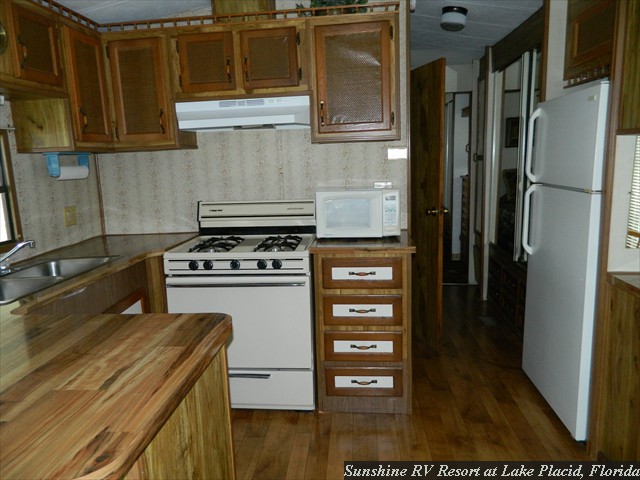 Lot_297_Kitchen view a