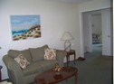 Apt #305 Living Room view b